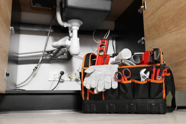 Best Plumbing Inspection Services  in Orland Park, IL