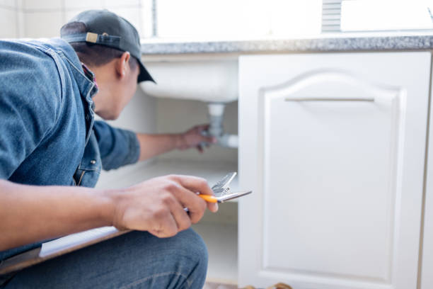 Best Residential Plumbing Services  in Orland Park, IL