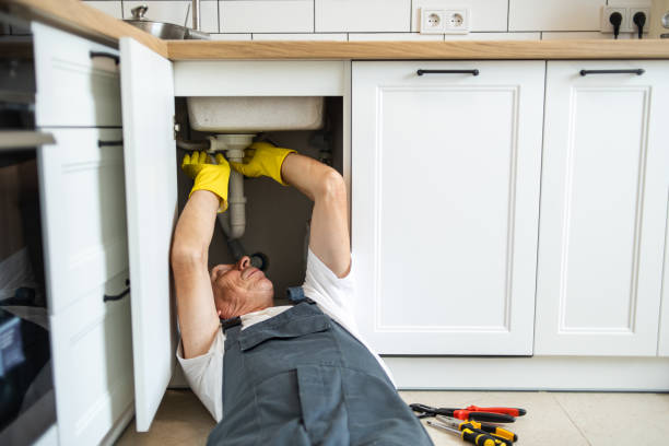 Best Toilet Repair Services  in Orland Park, IL