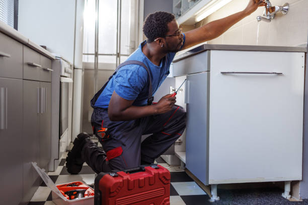 Best Best Plumbers Near Me  in Orland Park, IL